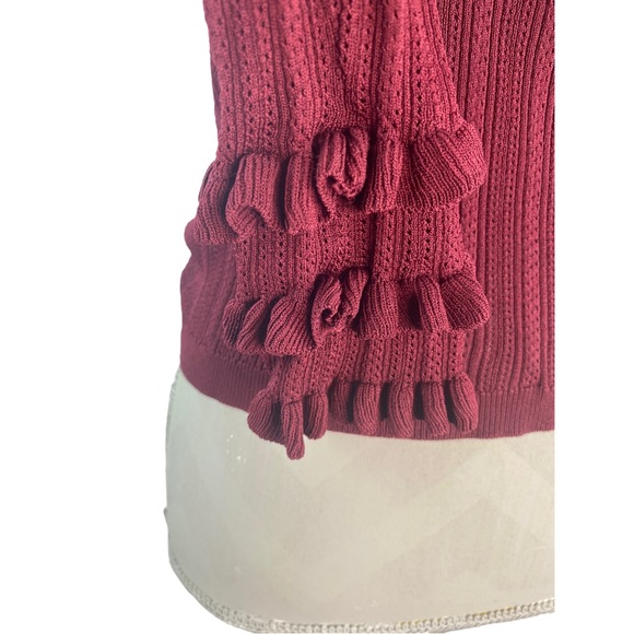 Zara Turtle Neck Ruffle Collar and Sleeves Size Small Wine - Picture 3 of 9